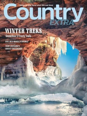 cover image of Country Extra